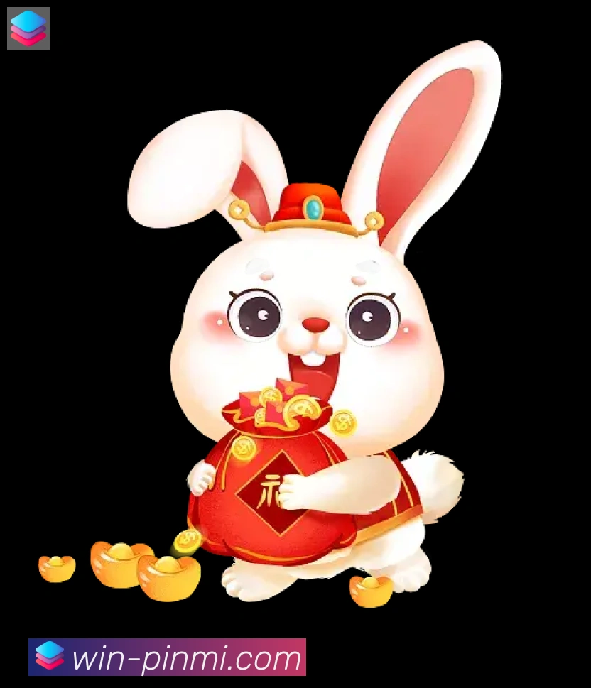 未来规划