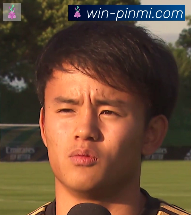 维尼修斯